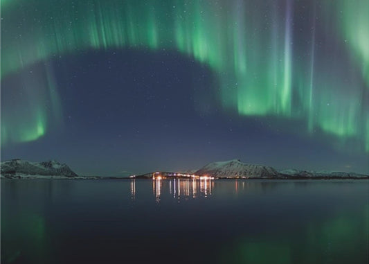 Magical Night | Canvas