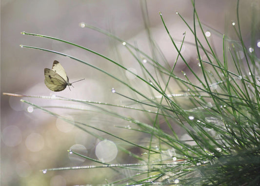 Imminent Landing | Wallpaper
