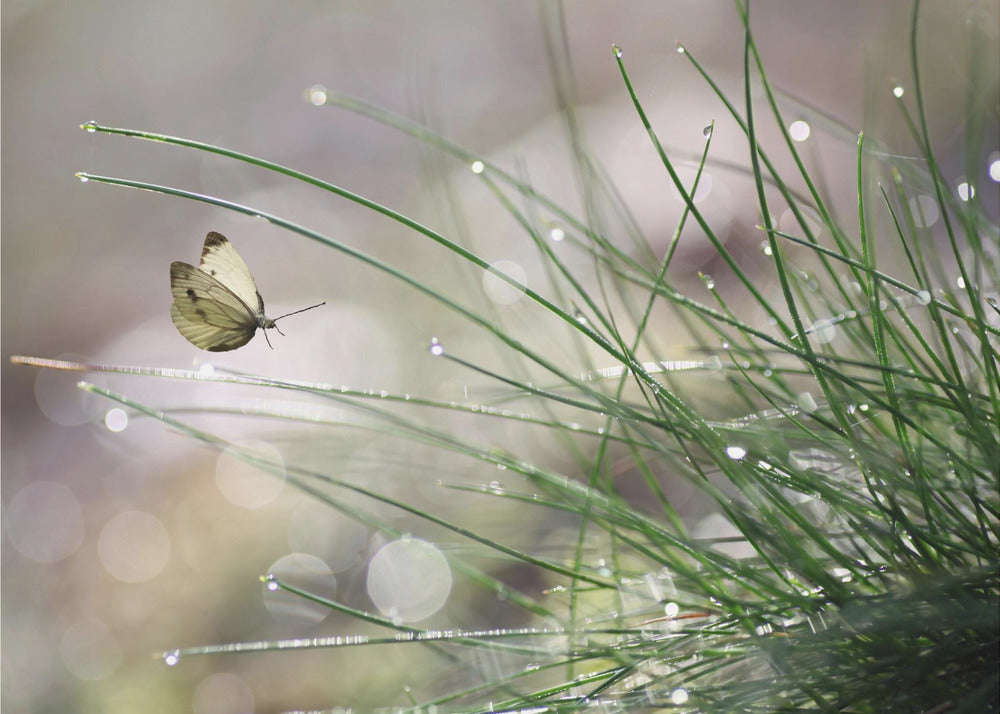 Imminent Landing | Canvas