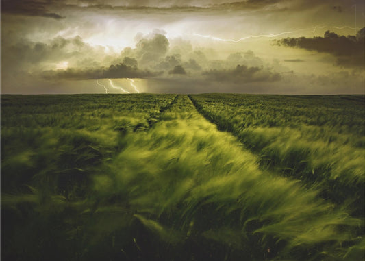 Journey to the Fierce Storm | Wallpaper