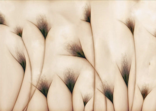 vaginae terram | Poster