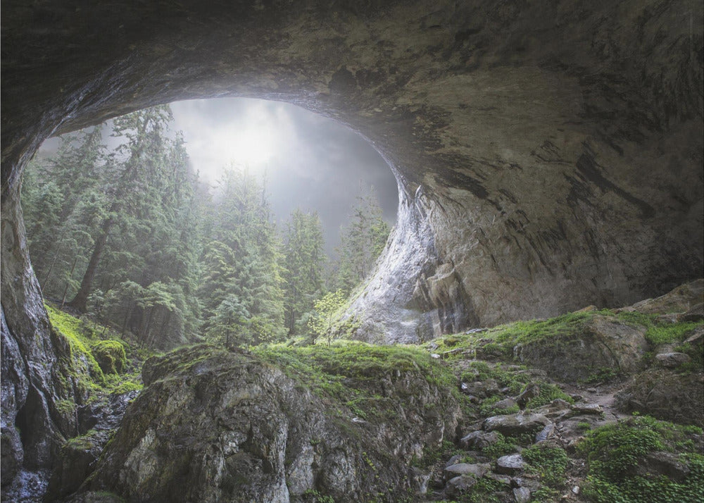 Peek to Heaven | Wallpaper