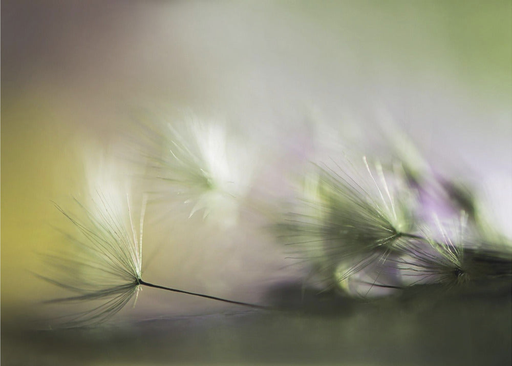 In the morning | Poster