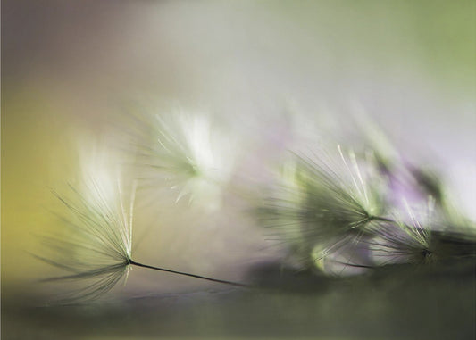 In the morning | Canvas