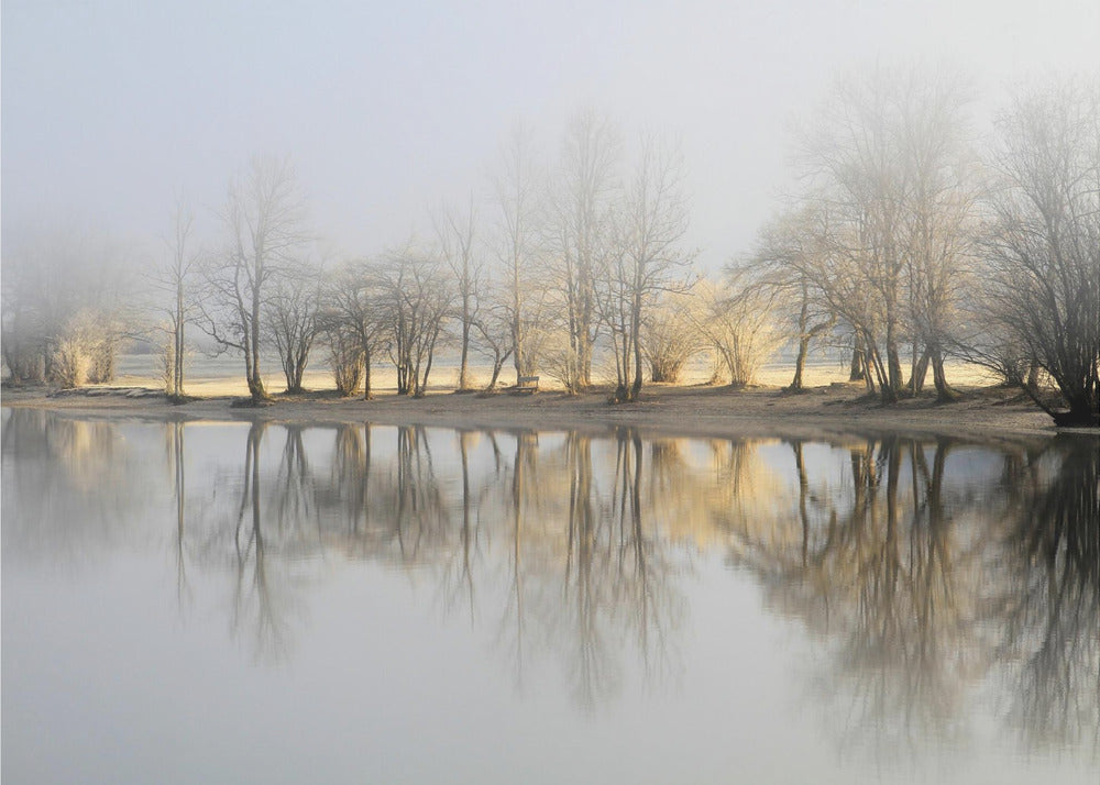 january morning | Canvas