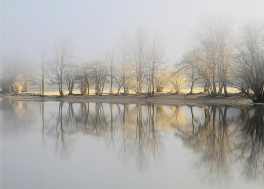 january morning | Wallpaper