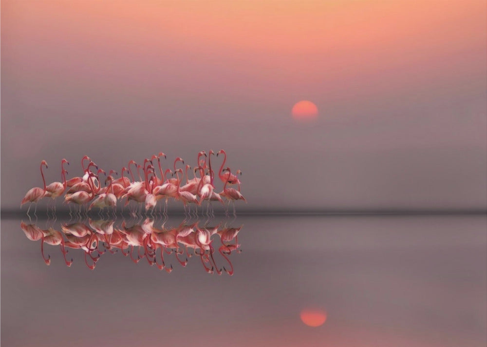 purple sunset | Canvas