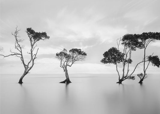 Drowning Not Waving | Canvas