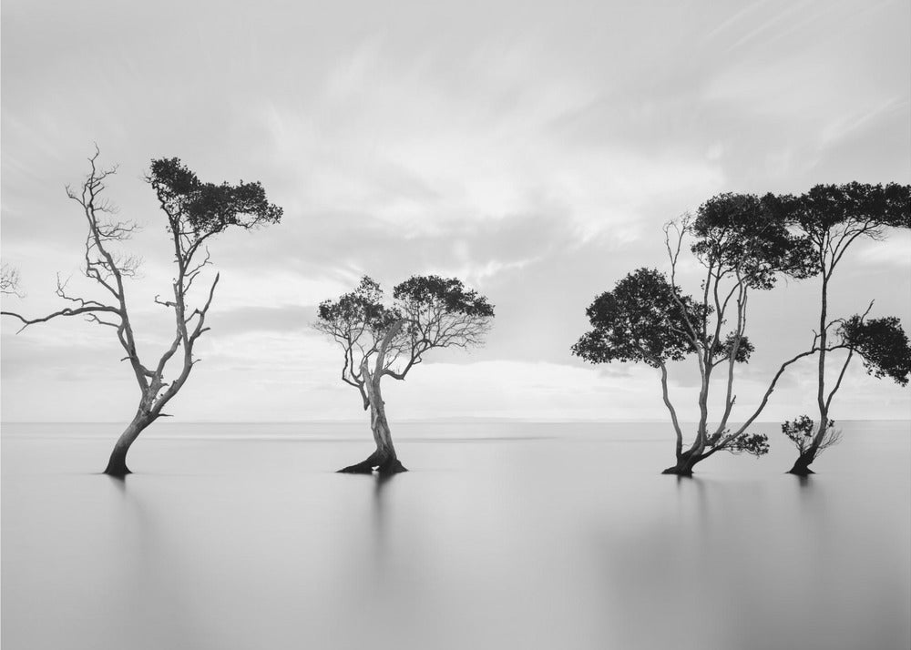 Drowning Not Waving | Wallpaper