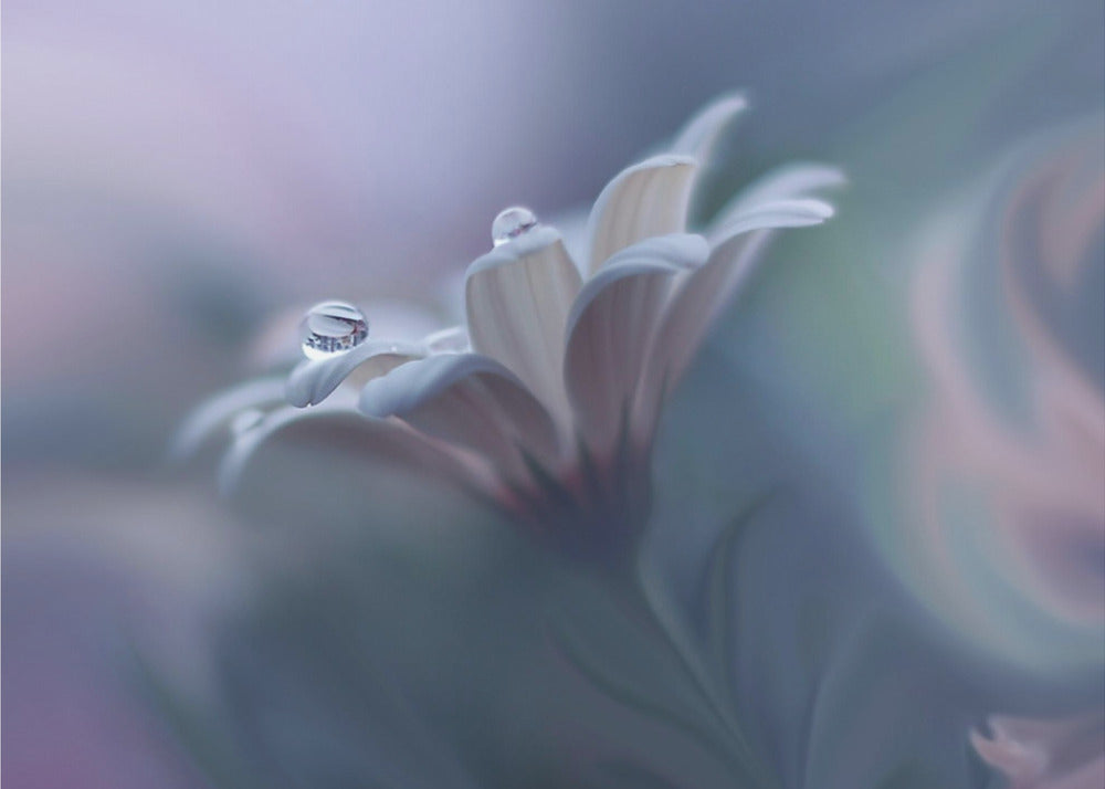 Behind Closed Eyes... | Canvas