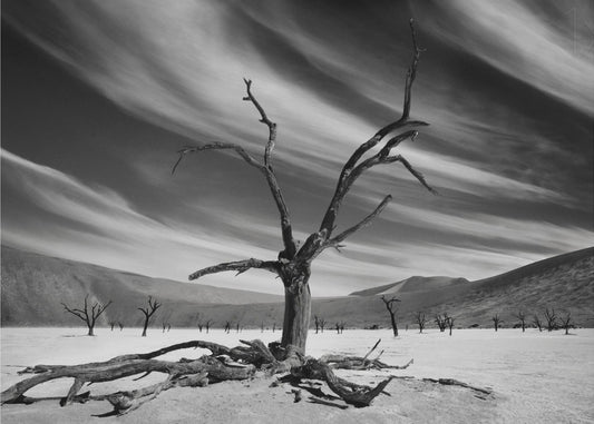 The supervisor | Wallpaper