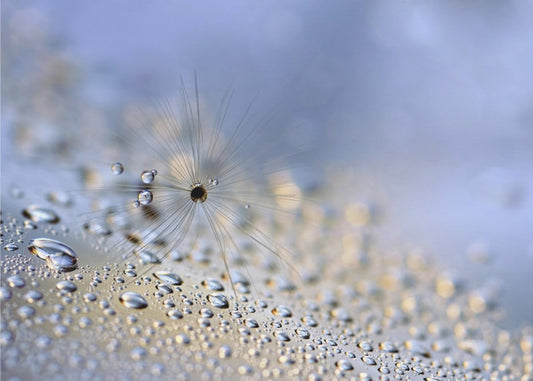 Crawling down | Canvas