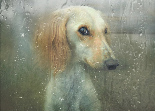 That autumn... | Canvas