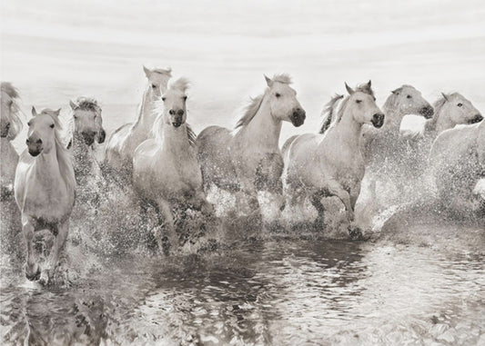 Illusion of power (13 horse power though) | Poster