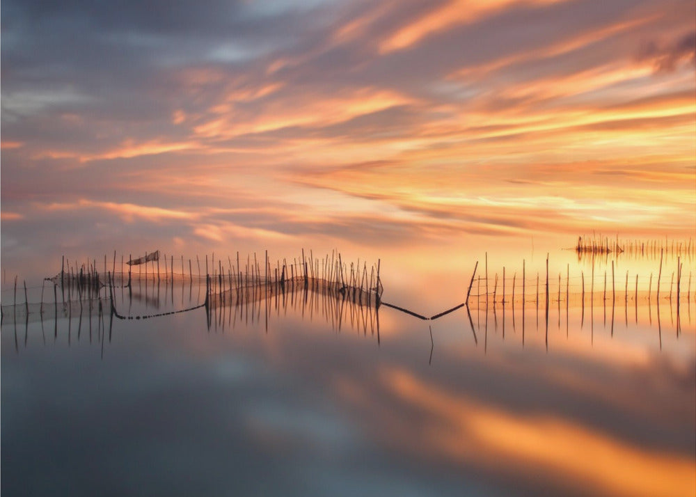 Fishnets | Wallpaper