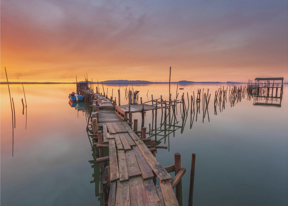 The last... Light | Canvas