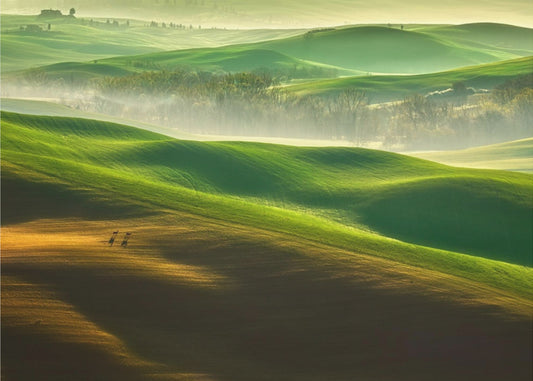 Freedom.... | Wallpaper