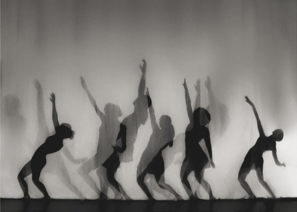 Dance is the language of the soul ... | Canvas