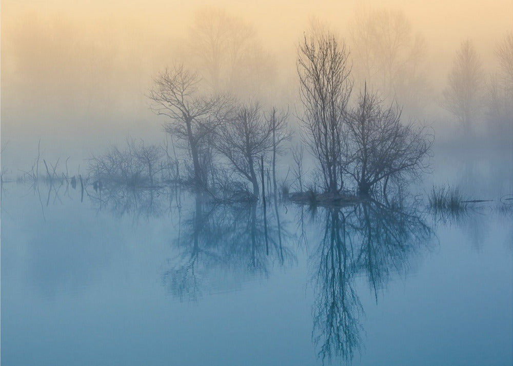 Morning reflection | Poster