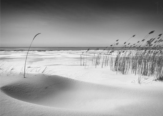 Orchestra | Wallpaper