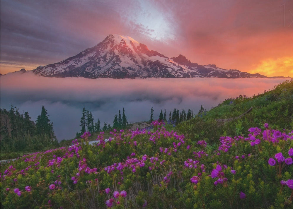 A Moment in Time | Poster