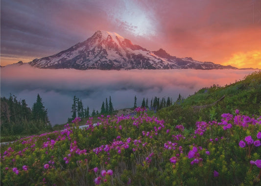 A Moment in Time | Wallpaper