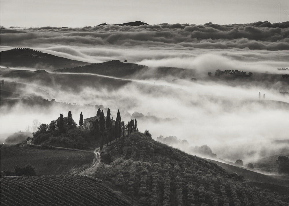 Tuscany | Canvas
