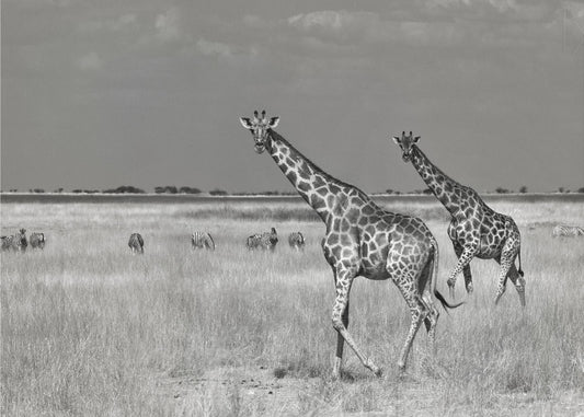 Tourists Spend | Poster