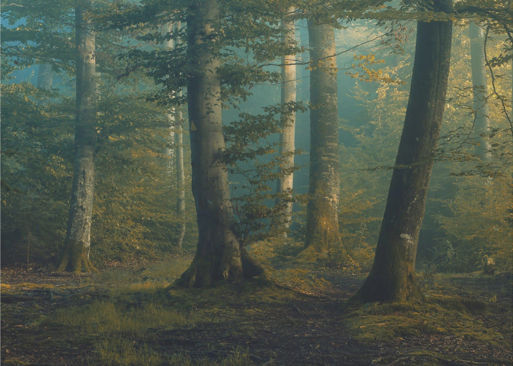 october colors | Wallpaper