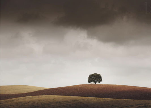 Tuve Que Pararme al Verla | Poster