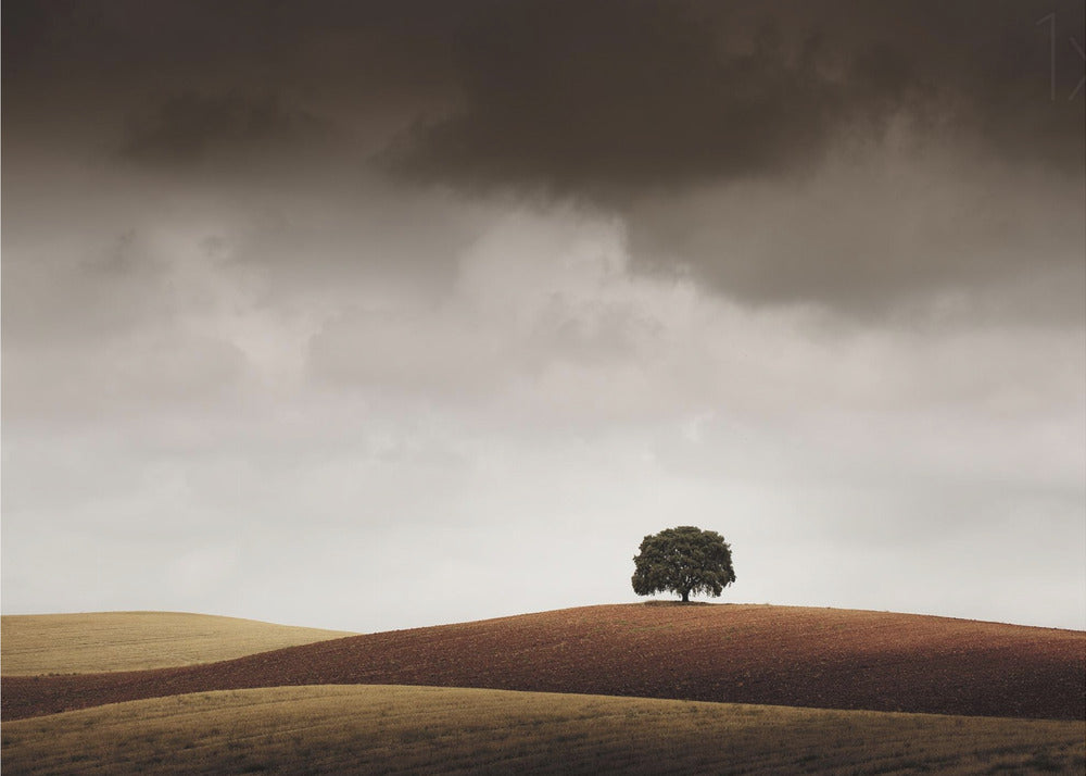 Tuve Que Pararme al Verla | Wallpaper