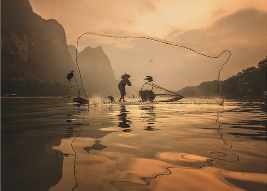 Spread The Fish Nets | Canvas