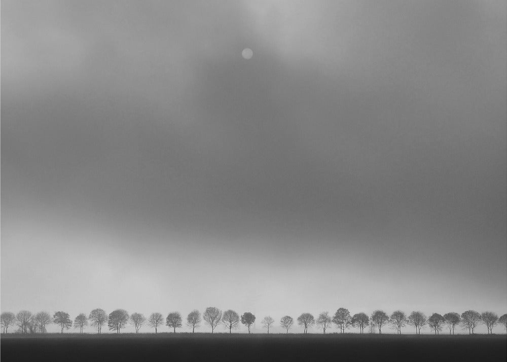 Polderlandscape | Canvas