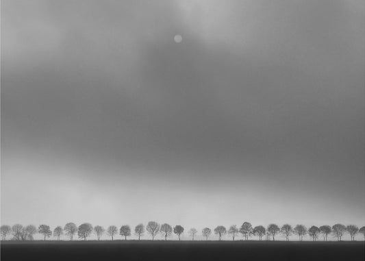 Polderlandscape | Canvas