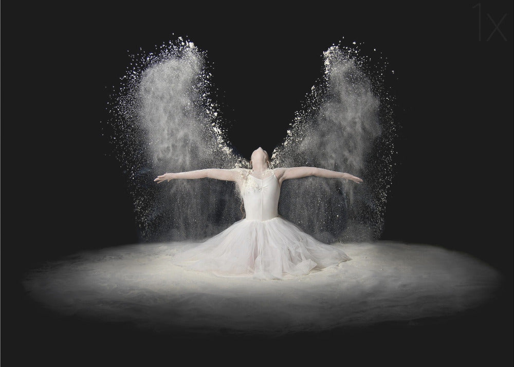 Flour Wings | Canvas