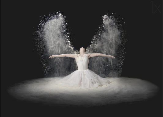 Flour Wings | Canvas