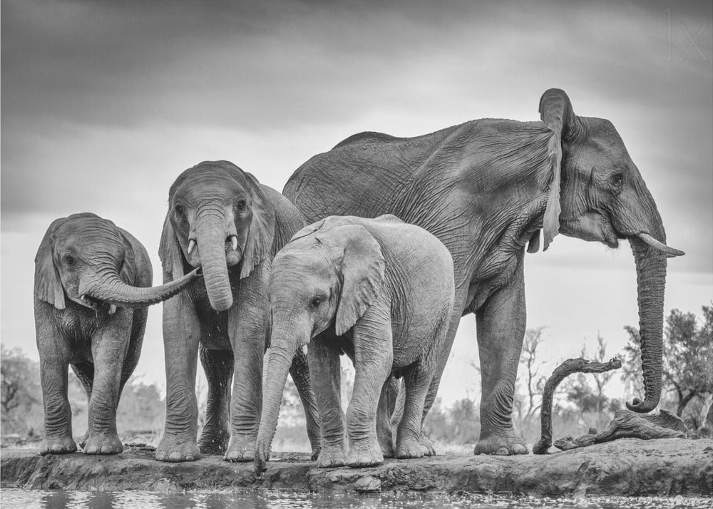 A Giant Unity | Poster