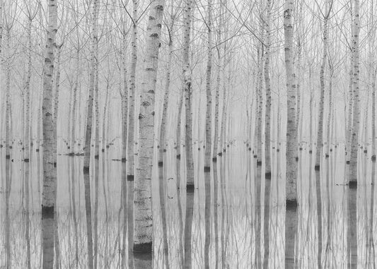 Novembre 2014 | Canvas