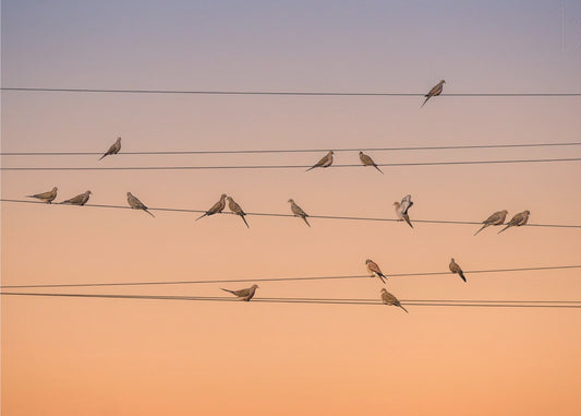 Music of Light | Wallpaper