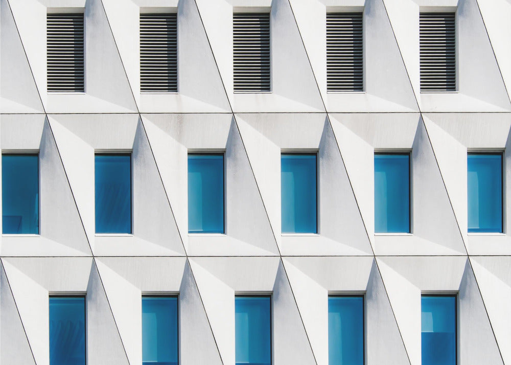 Backslashed | Canvas