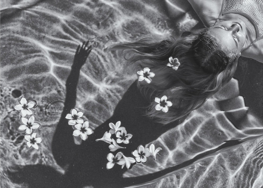 Frangipani tree | Wallpaper