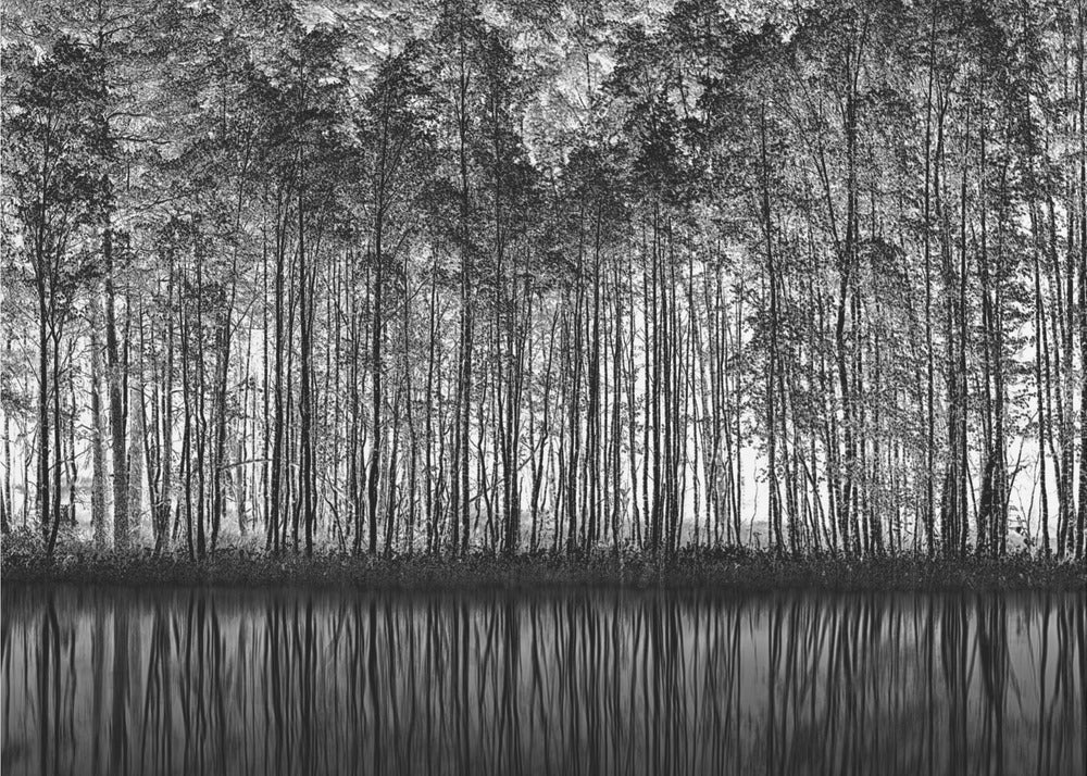 Pointillism Nature | Wallpaper