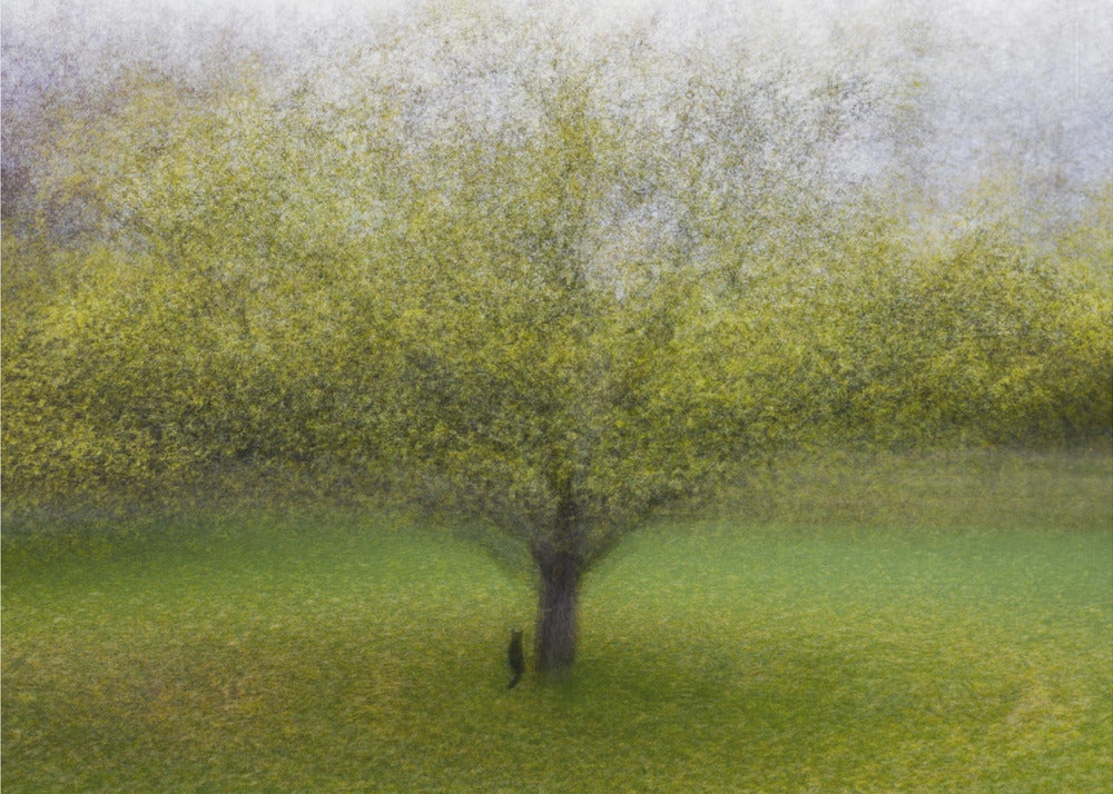 The Cat by the Tree | Canvas