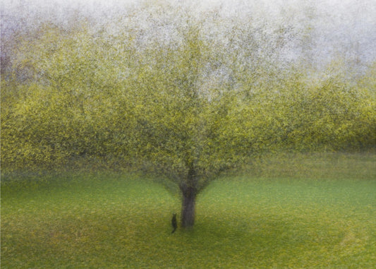 The Cat by the Tree | Canvas