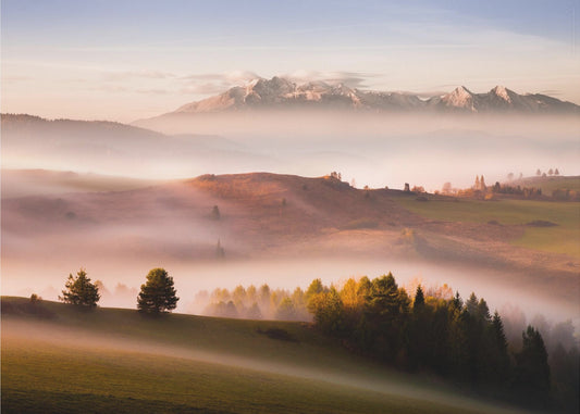 Just a silence | Poster