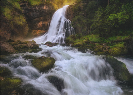 Spring Flood | Canvas