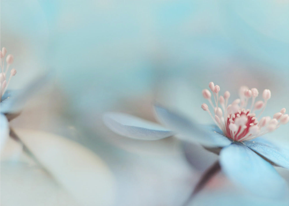 The two of us | Poster