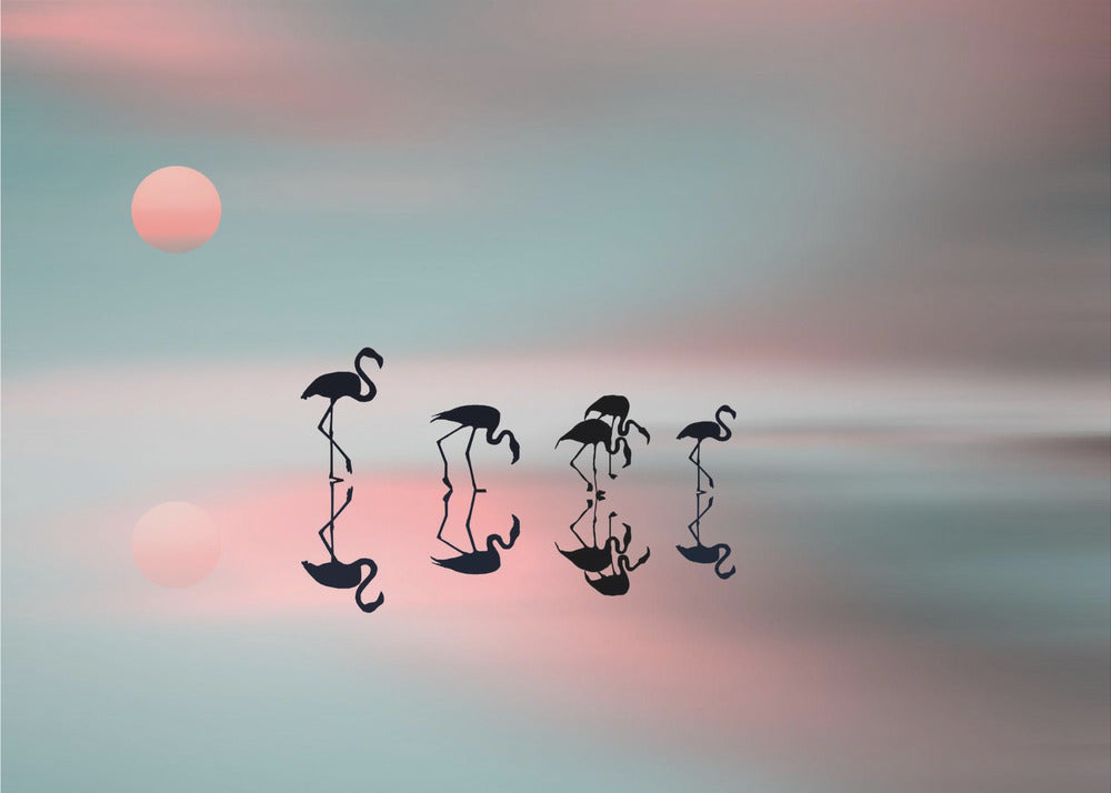 Family flamingos. | Poster