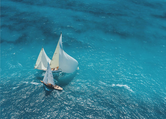 Croisement bleu | Poster