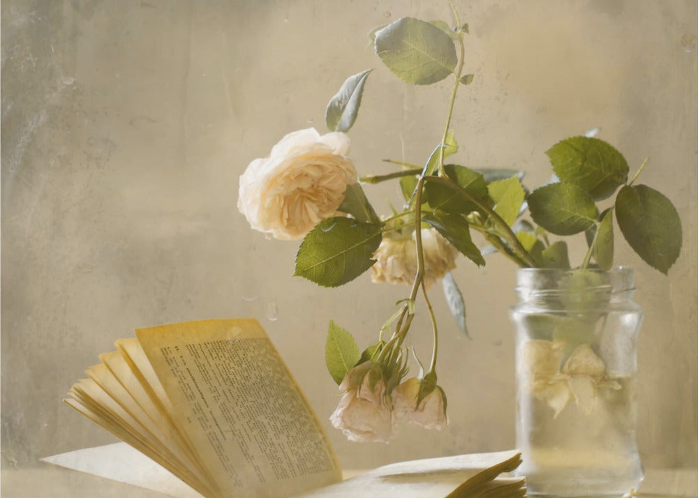 Enjoying a Rainy Day | Poster